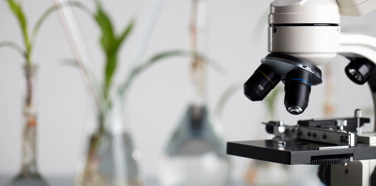 Leveraging BSL-2 Microbiology Laboratory for Superior Cleaning Product ...